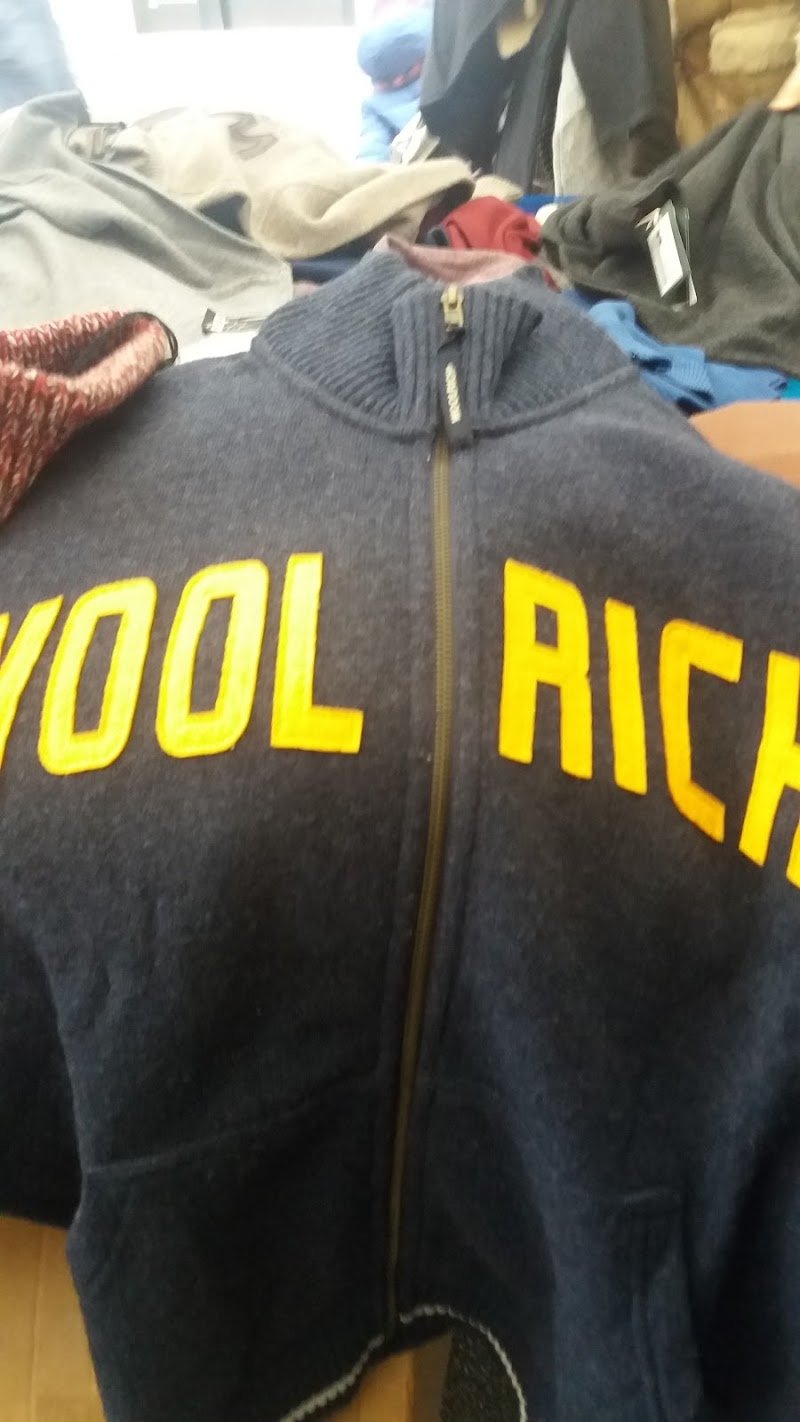 BEAUTIFUL DOG - Foto 6