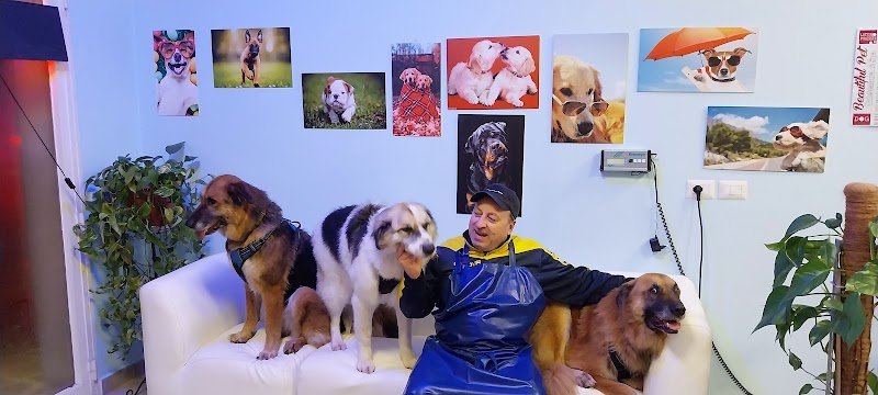 BEAUTIFUL PET - Sala Toelettatura & SPA - Foto 6