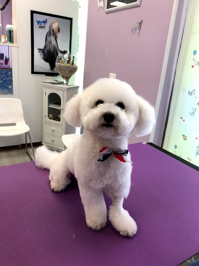 Beautiful Pets - Foto 4