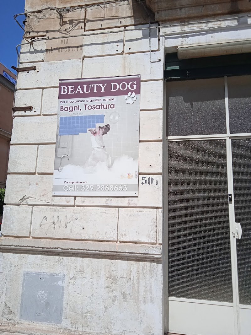 Beauty dod rc - Foto 1