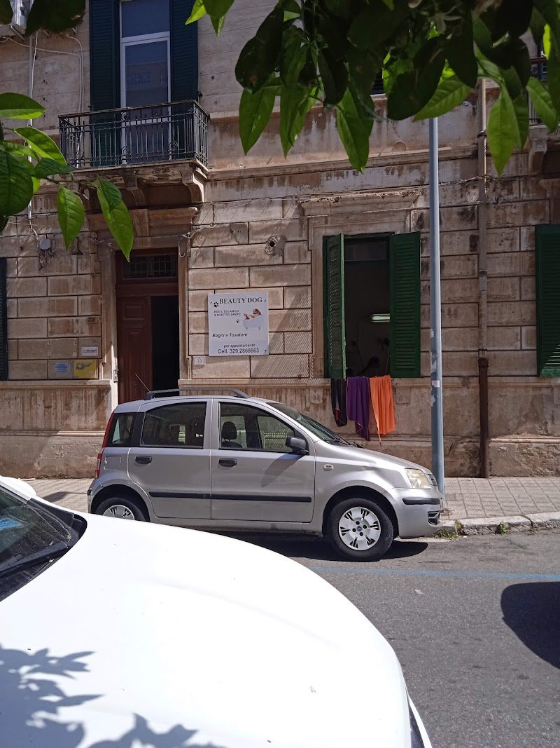 Beauty dod rc - Foto 2