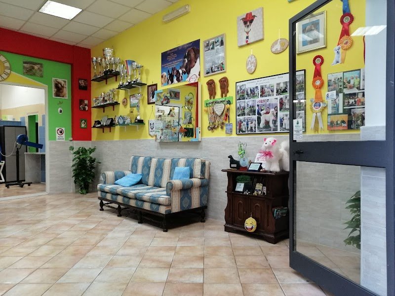 Beauty Dog Di Astefani Iuliana Daniela - Foto 1