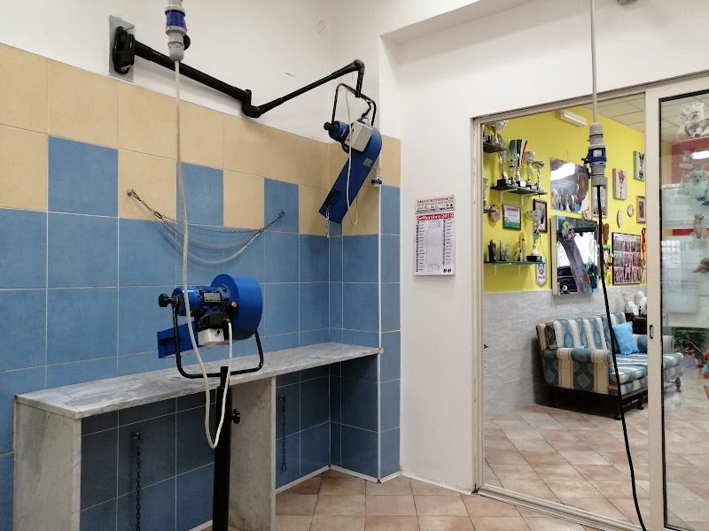 Beauty Dog Di Astefani Iuliana Daniela - Foto 4