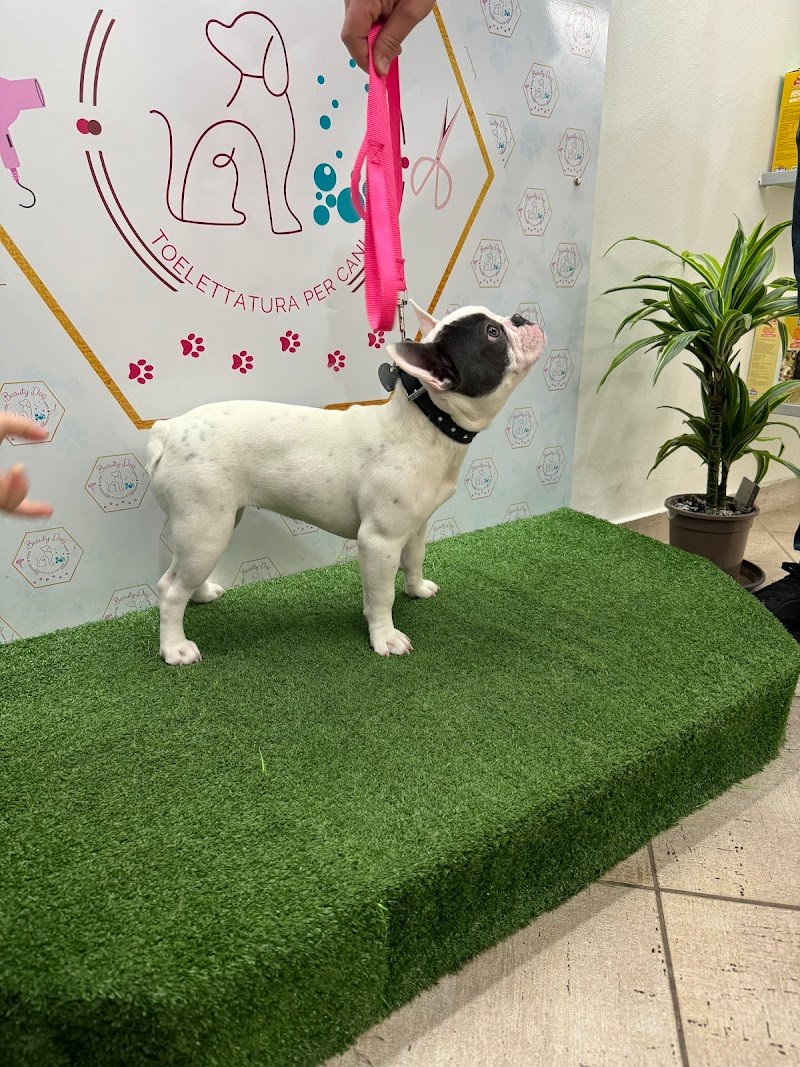 Beauty Dog di Carol D'andrea - Foto 3