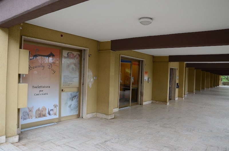 Beauty Dog di Di Persia Giuseppe Toelettatura per Animali Domestici Potenza - Foto 4