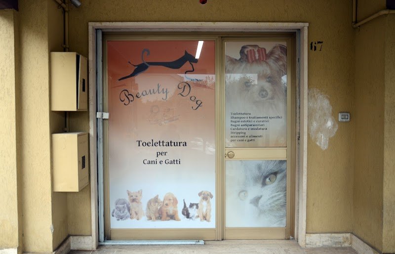 Beauty Dog di Di Persia Giuseppe Toelettatura per Animali Domestici Potenza - Foto 6