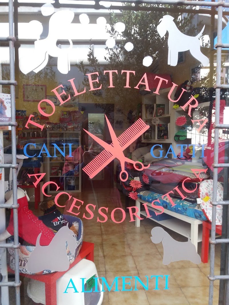 Beauty Dog Di Tabarrini Patrizia - Foto 1