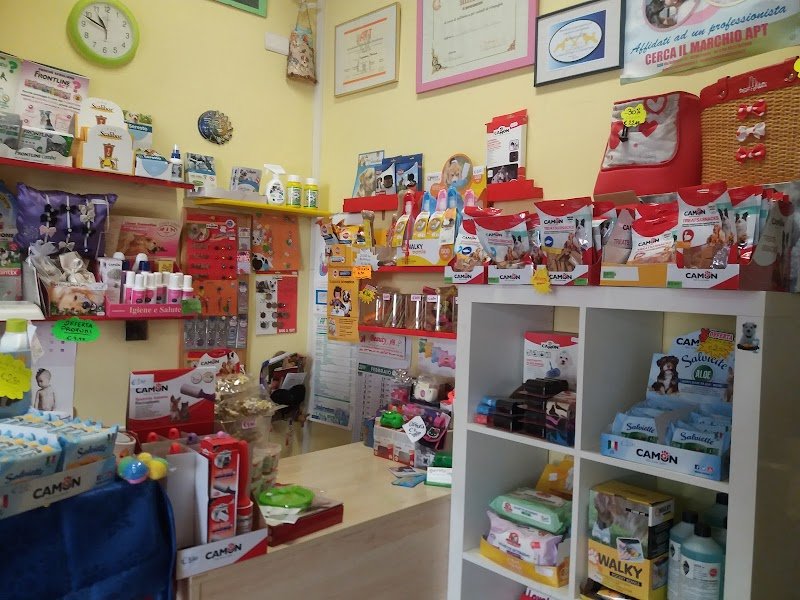 Beauty Dog Di Tabarrini Patrizia - Foto 2