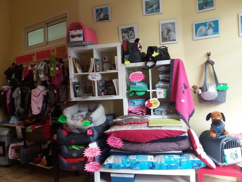 Beauty Dog Di Tabarrini Patrizia - Foto 6