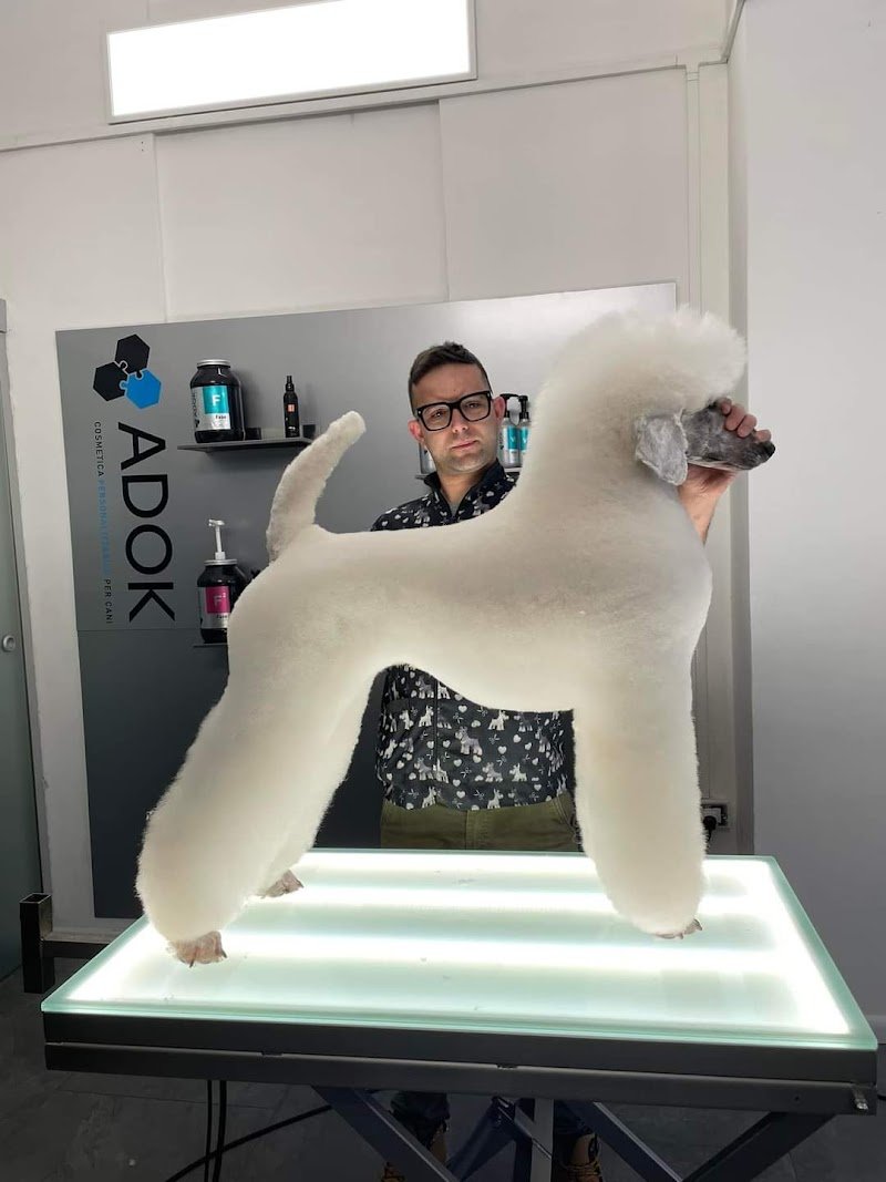 Beauty dog’s - Foto 2