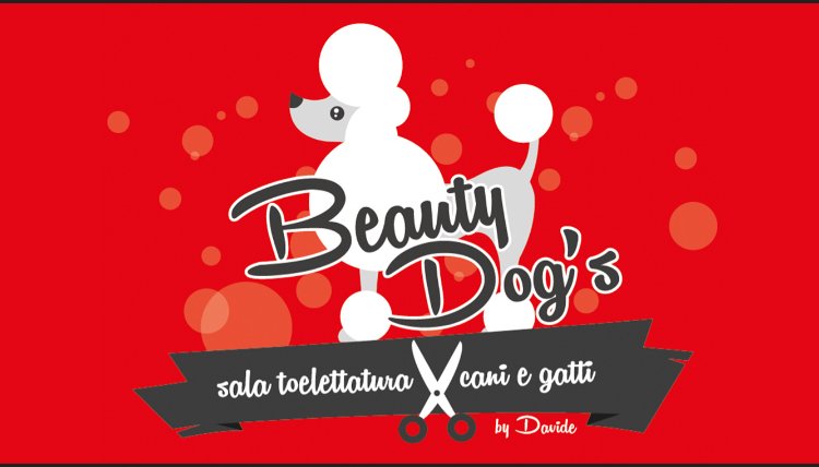 Beauty dog’s - Foto 6