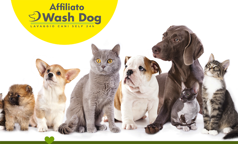 Beauty Pet S.a.s. - Foto 1