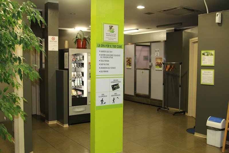 Beauty Pet S.a.s. - Foto 3