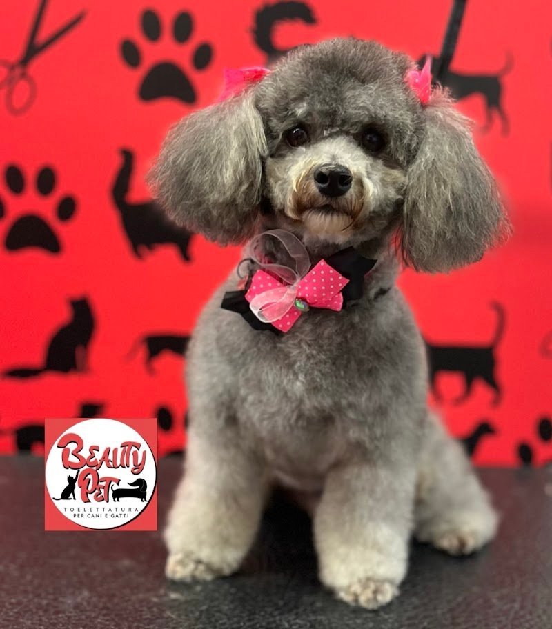 Beauty Pet Toelettatura per Cani & Gatti - Foto 1
