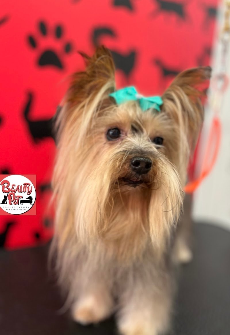 Beauty Pet Toelettatura per Cani & Gatti - Foto 3