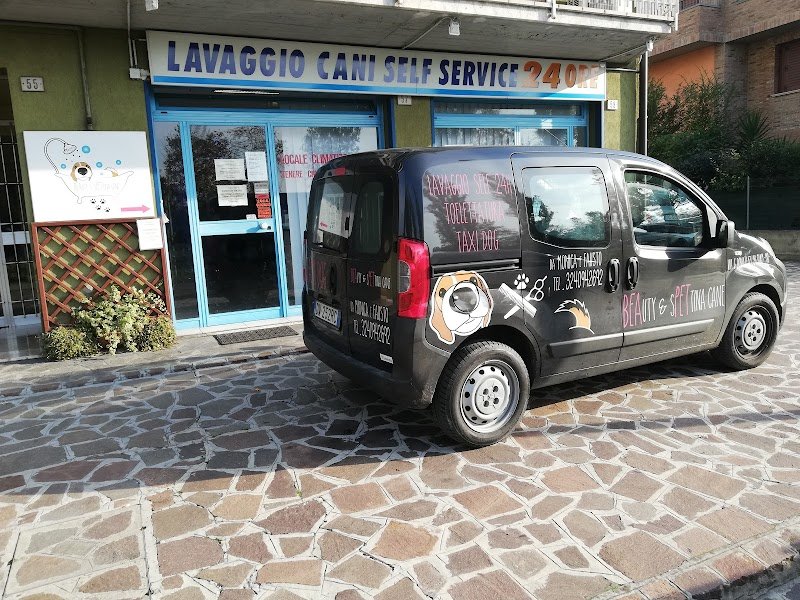 Beauty & Spettina Cane - Foto 2