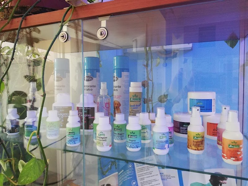 Beauty & Spettina Cane - Foto 5