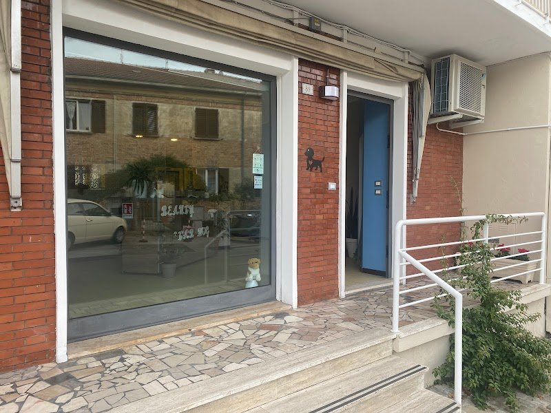 Beauty Star Dog Toelettatura - Foto 3