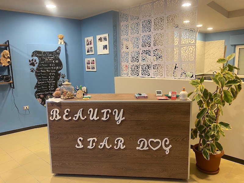 Beauty Star Dog Toelettatura - Foto 4