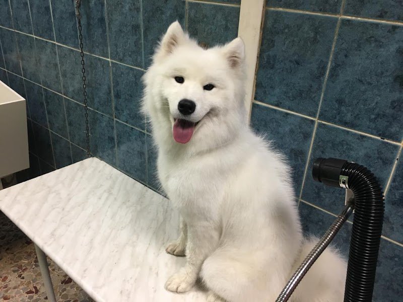 Bellezze Al Bagno Di Luigi - Foto 1