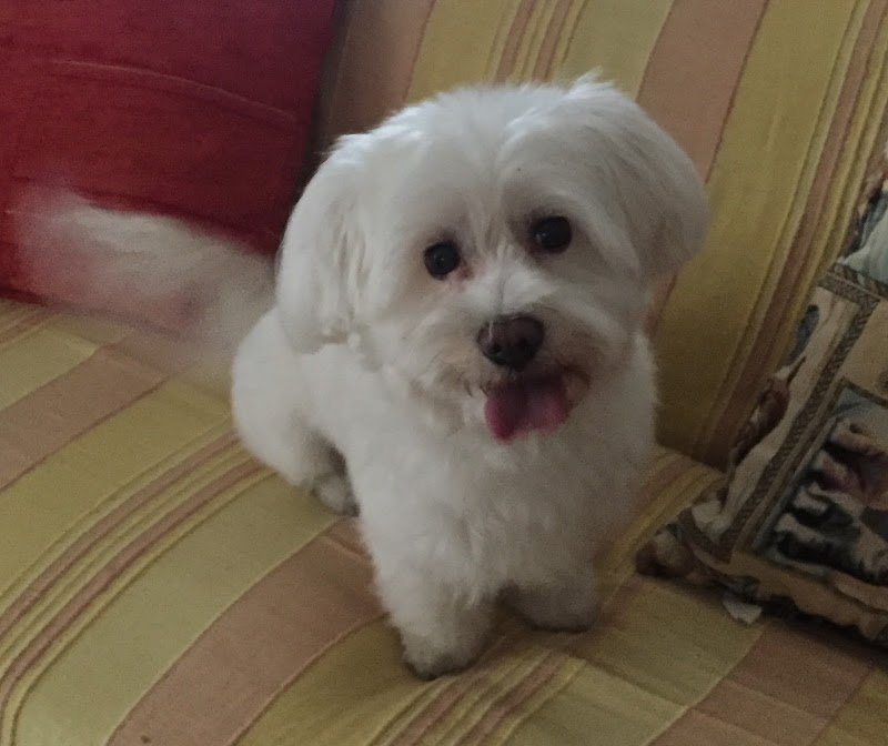 Bellezze Al Bagno Di Luigi - Foto 2