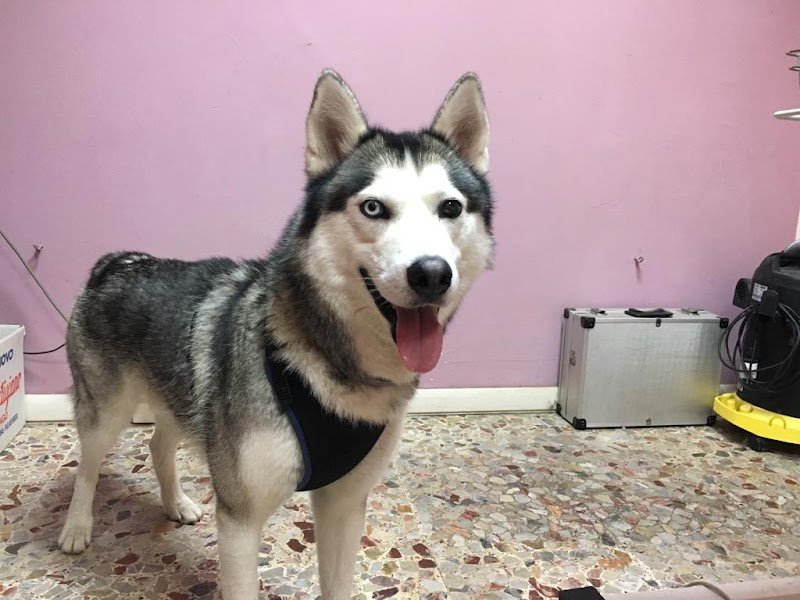 Bellezze Al Bagno Di Luigi - Foto 3