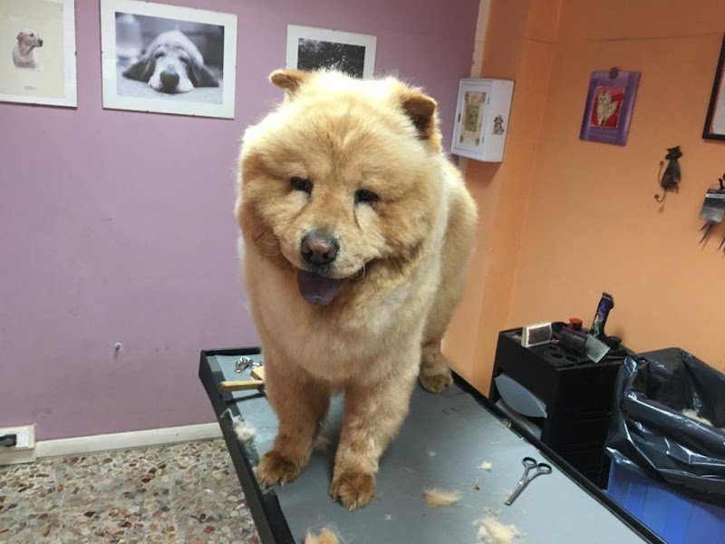 Bellezze Al Bagno Di Luigi - Foto 4