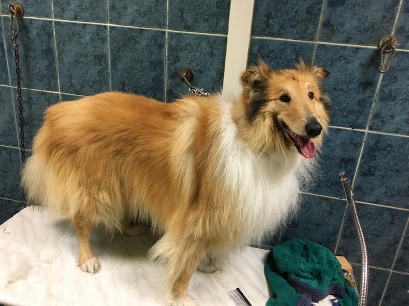 Bellezze Al Bagno Di Luigi - Foto 6