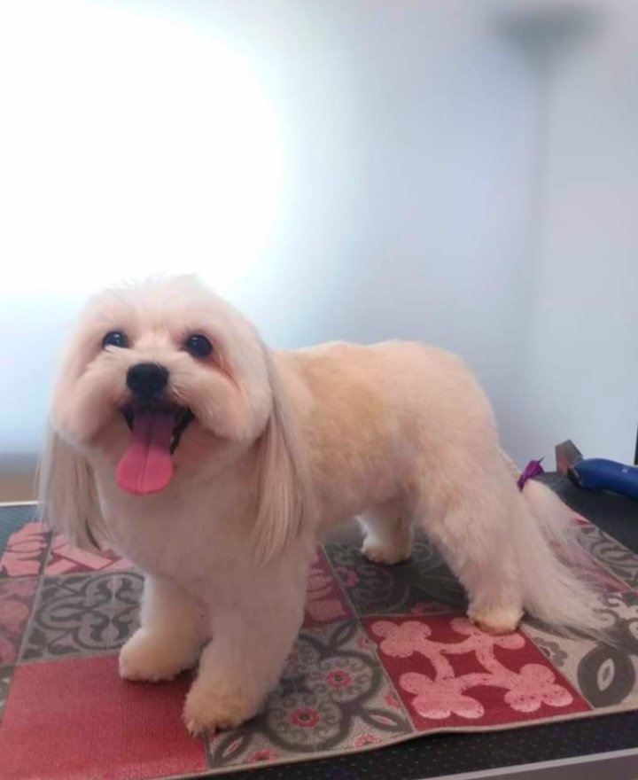 Bellezze al bagno - Foto 2