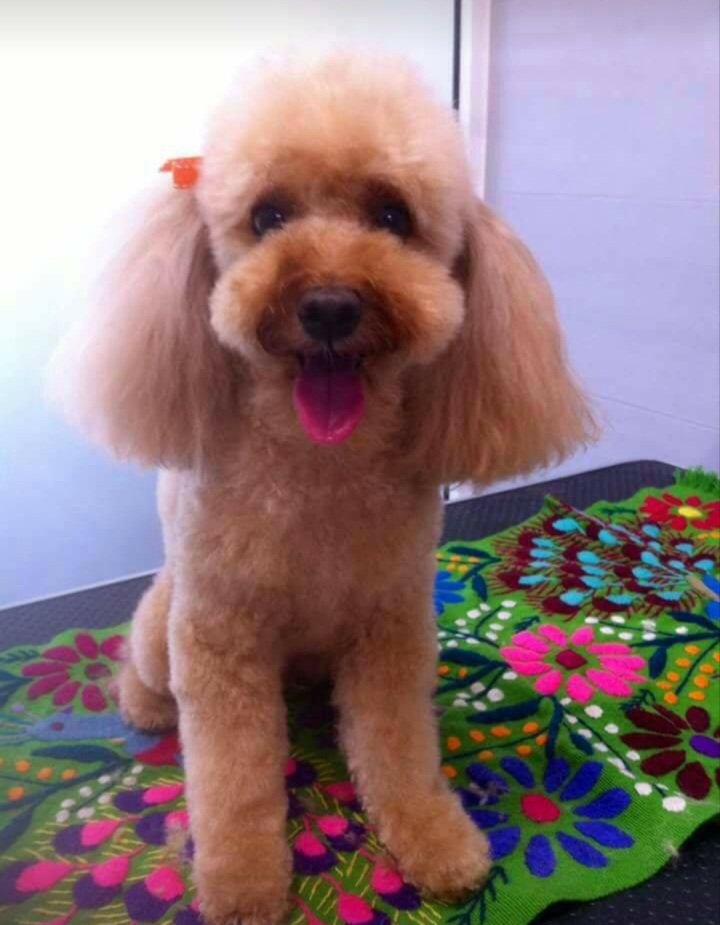 Bellezze al bagno - Foto 3