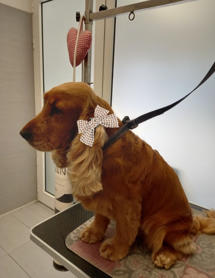 Bellezze al bagno - Foto 4