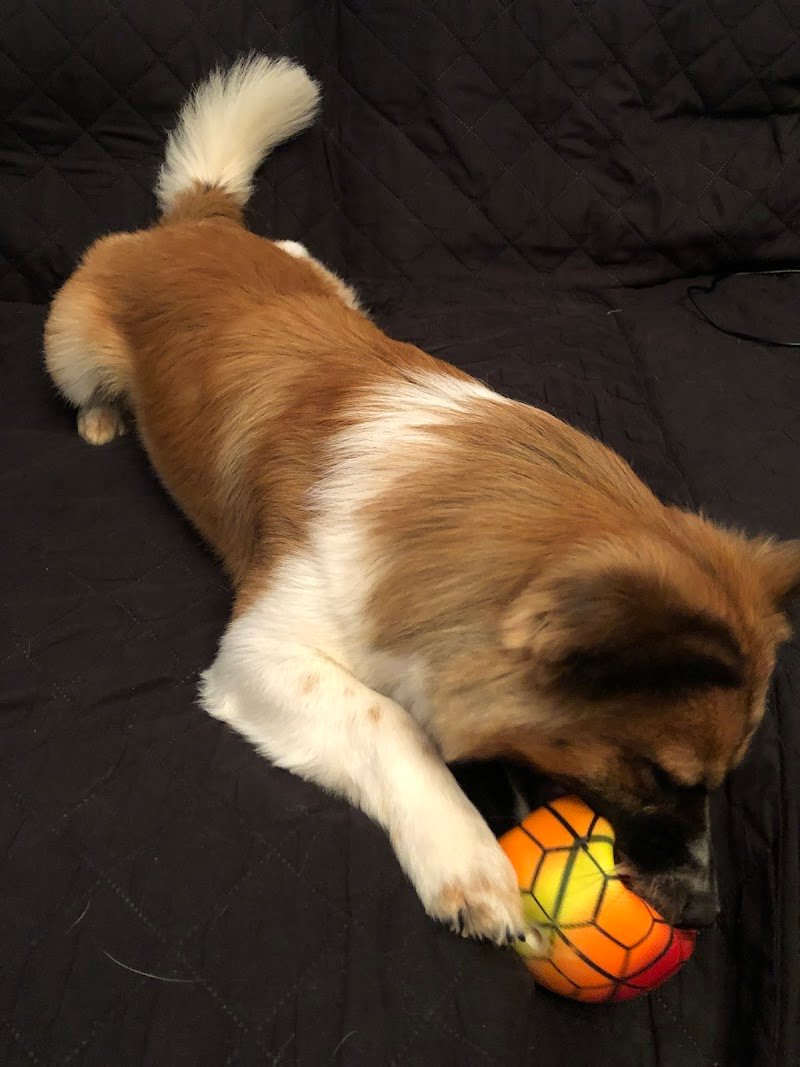 Bellezze al bagno - Foto 6