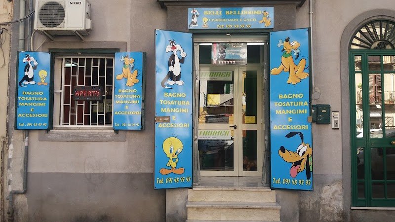 Belli Bellissimi I Vostri Cani E Gatti Di Sanzo M. - Foto 1