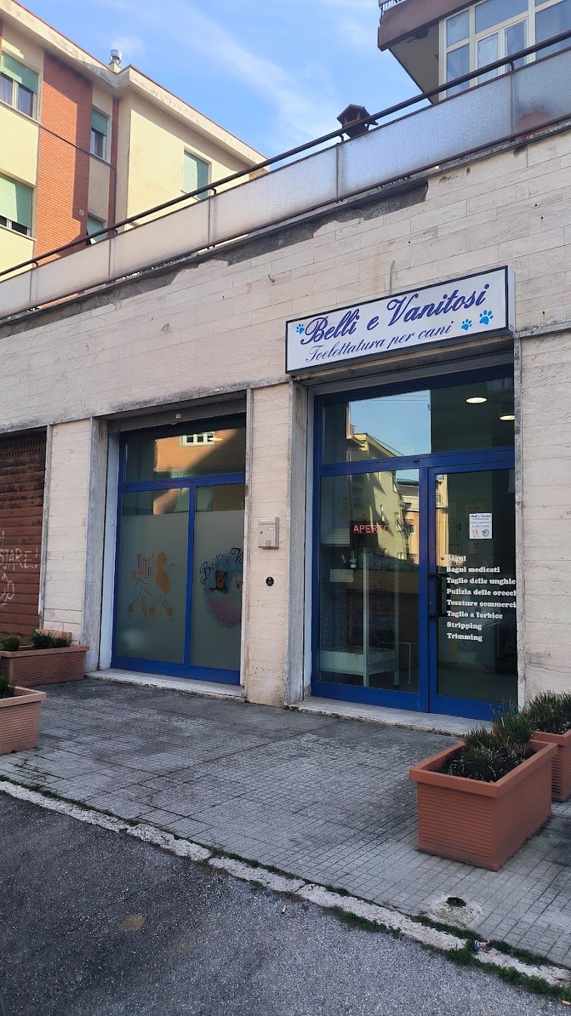 BELLI E VANITOSI - Foto 2