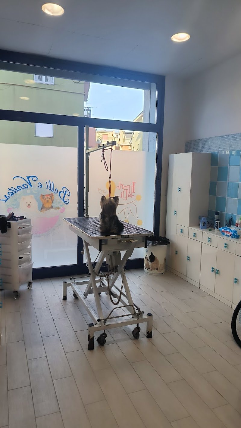 BELLI E VANITOSI - Foto 3