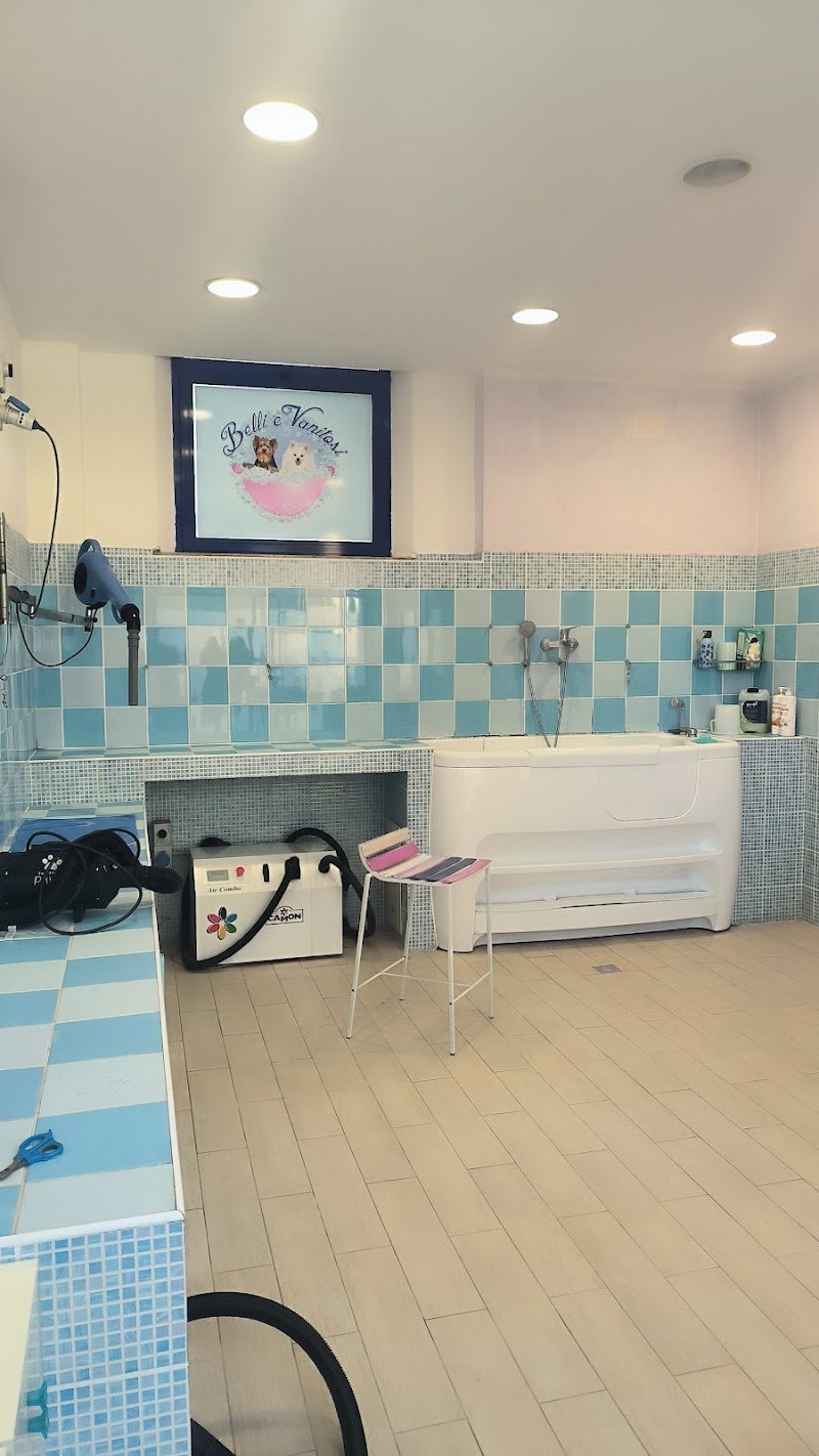 BELLI E VANITOSI - Foto 4