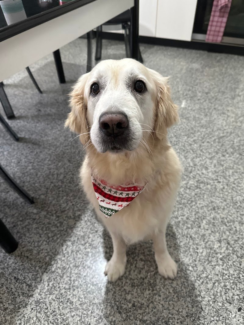 BELLI E VANITOSI - Foto 5