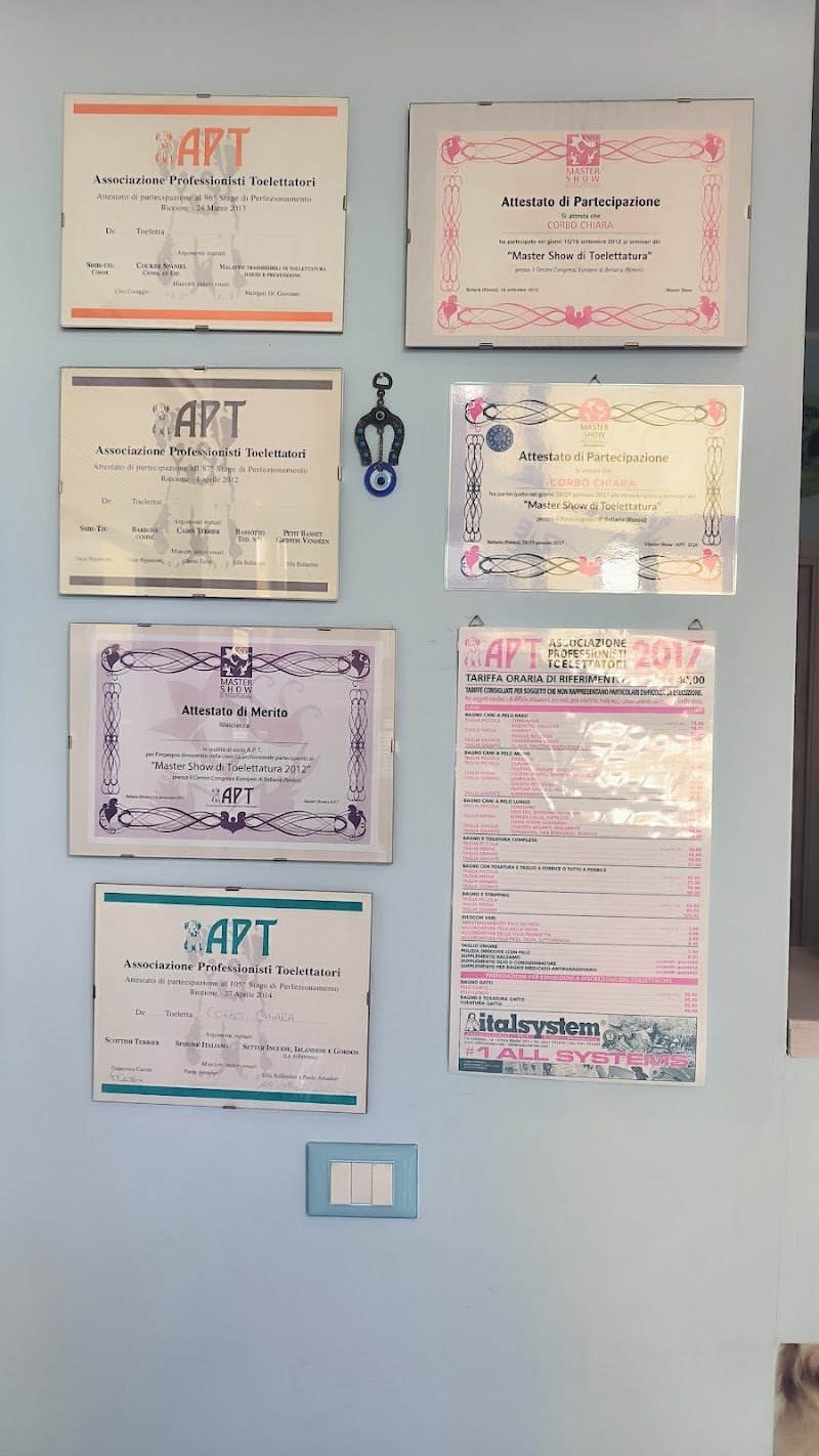 BELLI E VANITOSI - Foto 6