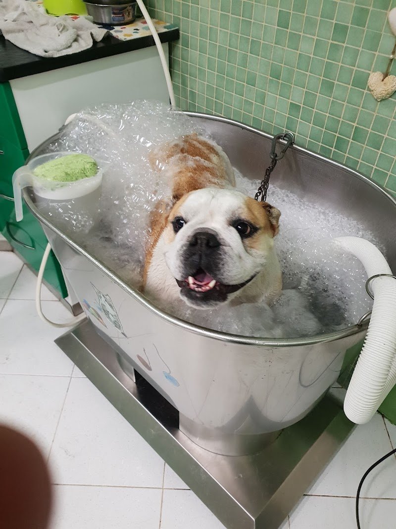 Belli Fra Le Bolle - Foto 3