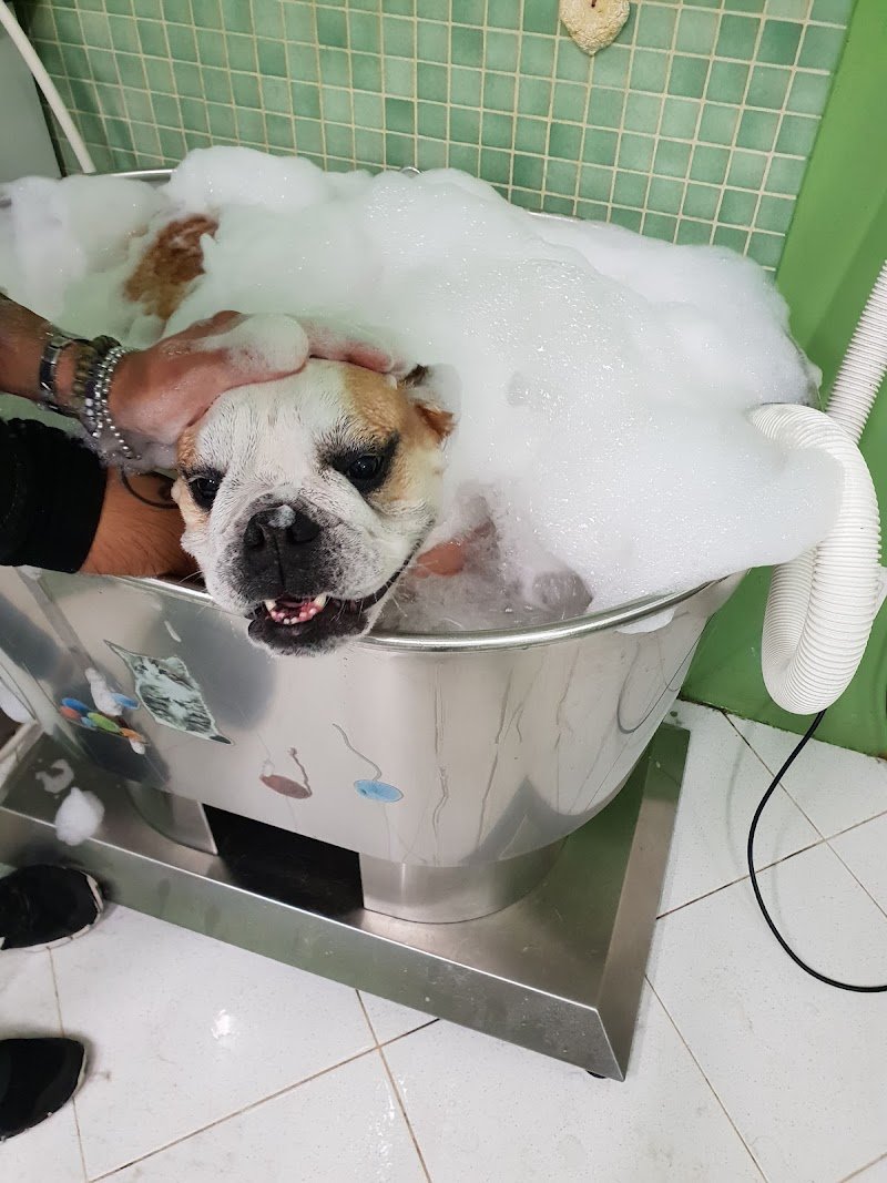 Belli Fra Le Bolle - Foto 5