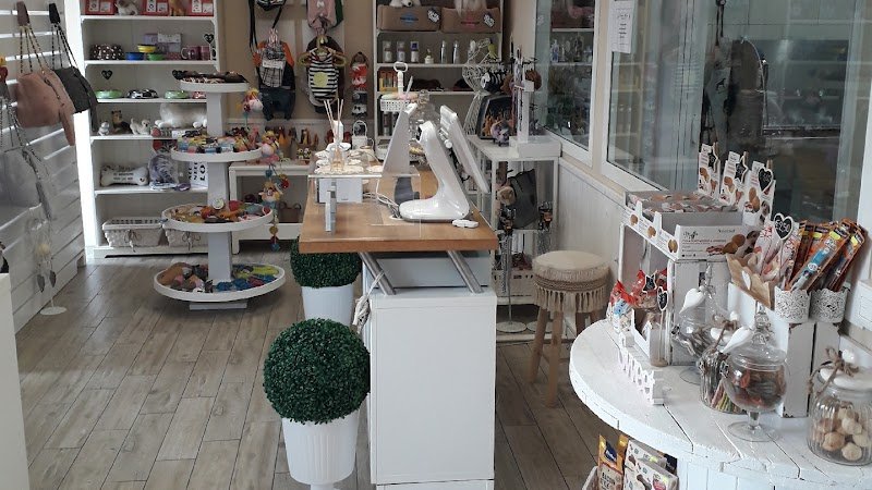 Benessere a 4 Zampe - Foto 1