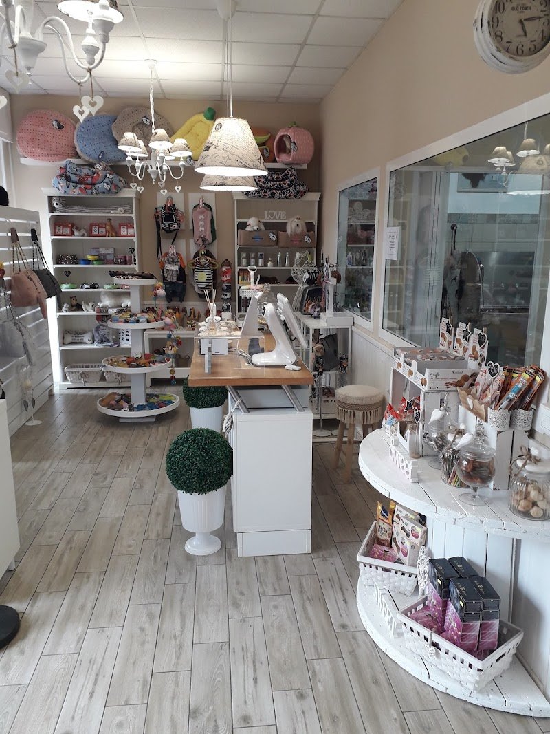 Benessere a 4 Zampe - Foto 2