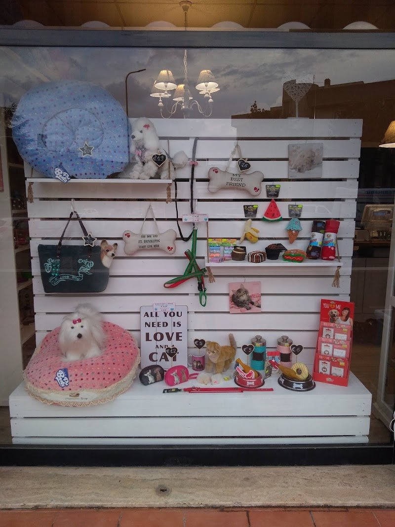 Benessere a 4 Zampe - Foto 3