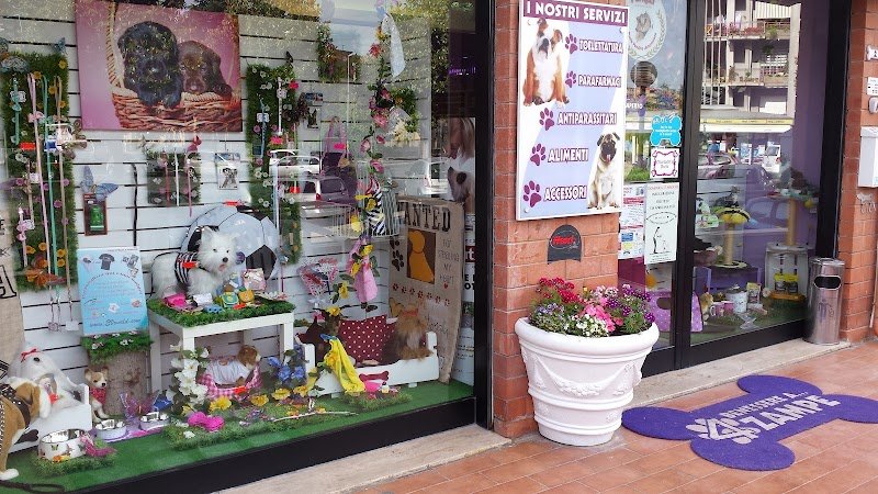 Benessere a 4 Zampe - Foto 4