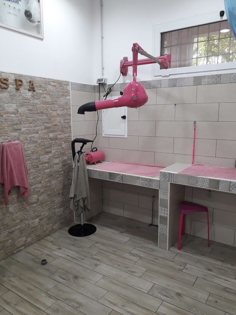 Benessere a 4 Zampe - Foto 5