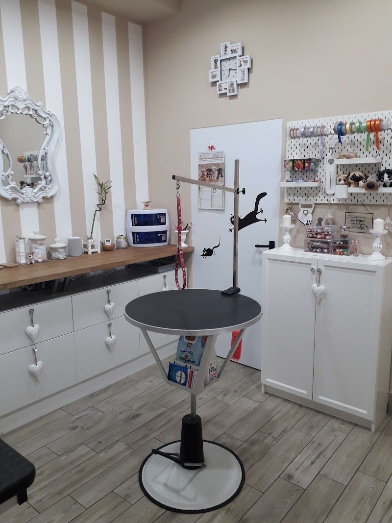 Benessere a 4 Zampe - Foto 6