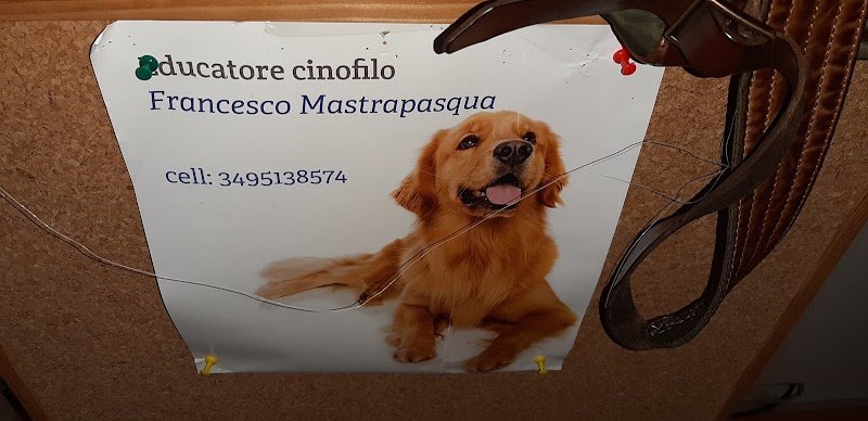 Benessere Animale - Foto 5