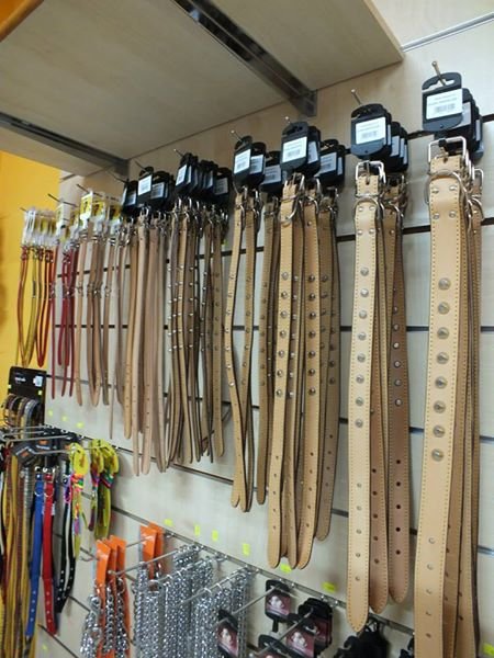 Benessere Animali - Foto 3