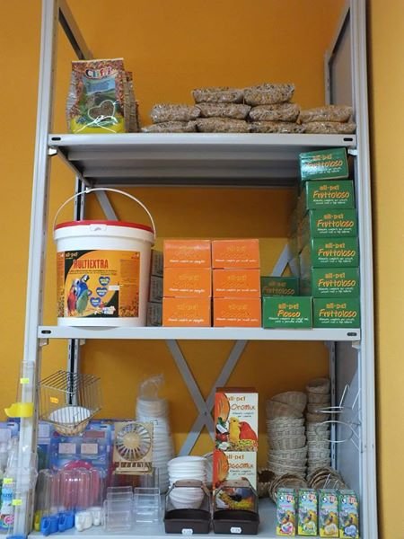 Benessere Animali - Foto 5