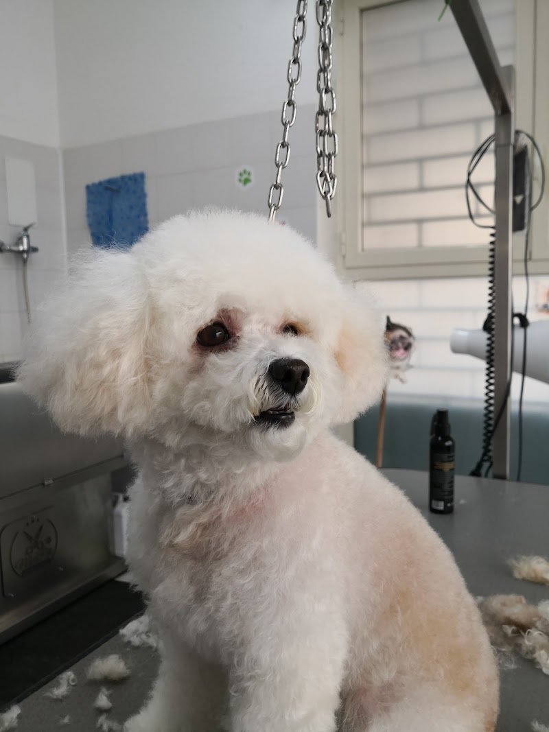 Benessere Pet's - Foto 2